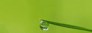 Sydney Kinesiology