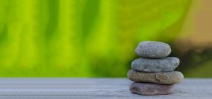 Sydney Kinesiology