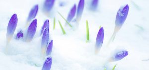 Sydney Kinesiology