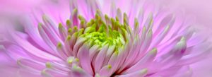 Kinesiology Sydney